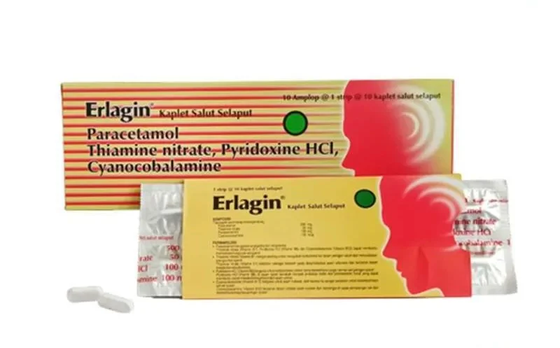 ERLAGIN