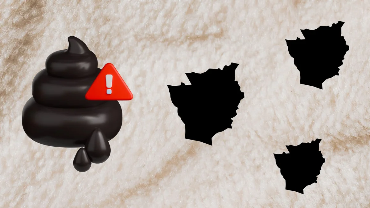 MELENA : Si Hitam pekat yang Mengancam Jiwa