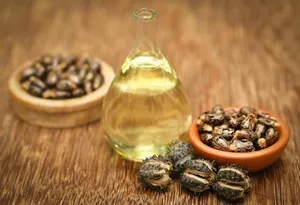 Manfaat Minyak Jarak (Castor Oil) untuk Kulit, Rambut, dan Lainnya