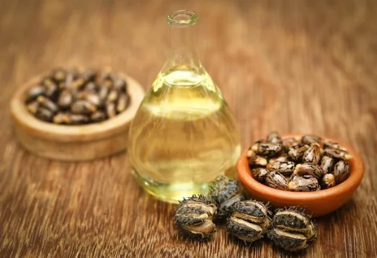 Manfaat Minyak Jarak (Castor Oil) untuk Kulit, Rambut, dan Lainnya
